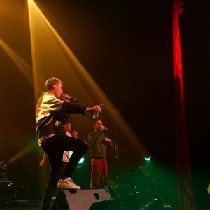 ODC & Dino